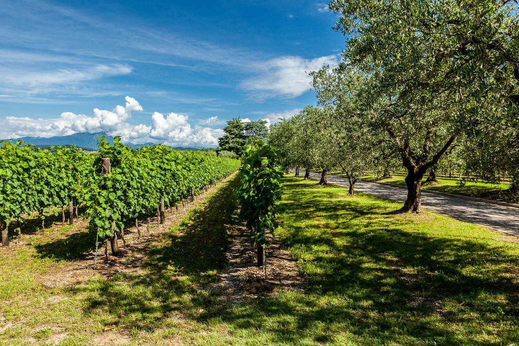 Quercia Belvedere Relais バルドリーノ エクステリア 写真