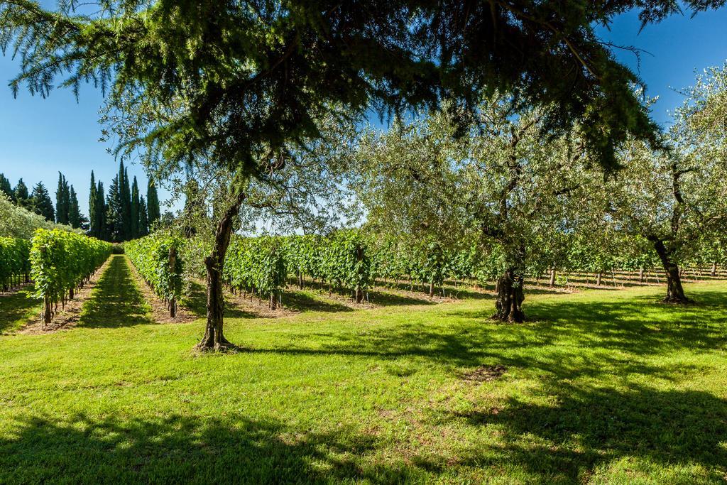 Quercia Belvedere Relais バルドリーノ エクステリア 写真